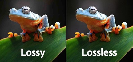 comparing lossy and lossless compress